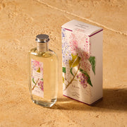 FRAGONARD Lilas